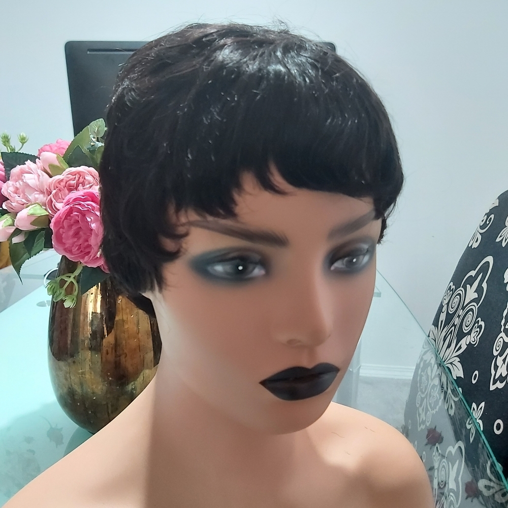100% human hair wig